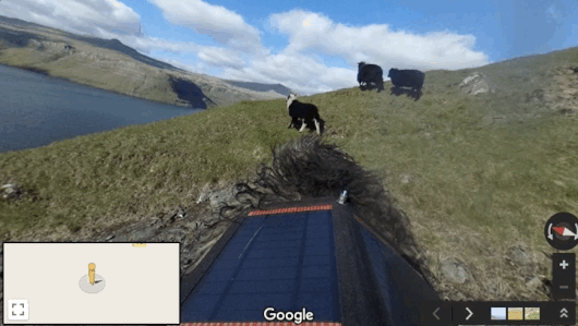Як Google знімає найвіддаленіші землі з допомогою овець