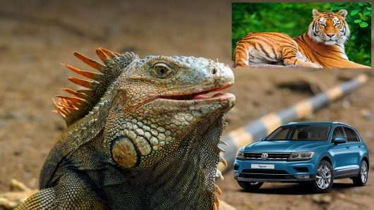 Сучасні автомобілі названі на честь тварин