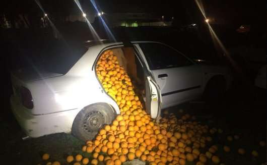 Скільки апельсинів можна вкрасти за допомогою автомобіля?