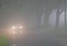 Водіння автомобіля в тумані