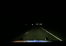 Поліцейський зіткнувся з оленем на швидкості 180 км/год