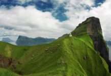 Як Google знімає найвіддаленіші землі з допомогою овець