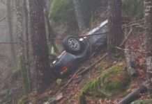 Викрадений 27 років тому Порше виявили в лісі