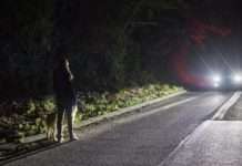 МВС зобовязало водіїв носити світловідбиваючі жилети