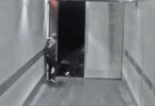 Дивіться, як злочинці потрапляють всередину вантажівки на швидкості 80 км на годину