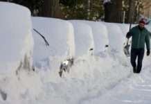 Відео: власник викопує автомобіль з гігантського замету