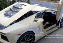 Відео: «Ламбо» з мотоциклетним мотором – мрія дитини