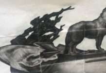 У Комсомольську-на-Амурі створять памятник собаці Найді, яка чекала свого загиблого господаря 12 років