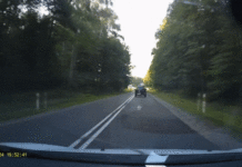 Відео: Спробував обїхати нерівність і вилетів у кювет