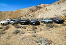 Подивіться на кладовище забутих porsche, іржавіючих під каліфорнійським сонцем