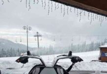 Таких лише два в україні: у карпатах засвітілося культове авто із фільму “назад у майбутнє”