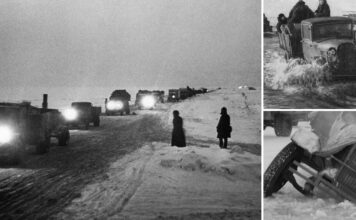 Ладога: якою була дорога життя в роки війни