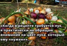 Люди не завжди вважають за потрібне строго слідувати рецептами від букви до букви.