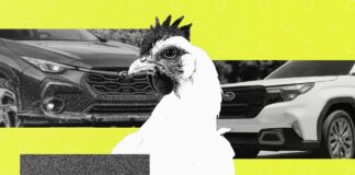 Majitelé Subaru a jejich mazlíčci: překvapivě podrobná analýza