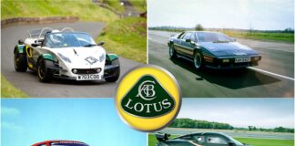 Lotus’s Hittes & Misses