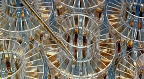 Synthetische motorolietechnologie: hoe in het laboratorium gemaakte vloeistoffen motoren veranderden